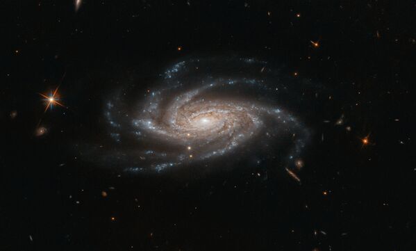 Спиральная галактика NGC 2008 снятая космическим телескопом Хаббл Спиральная галактика NGC 2008 снятая космическим телескопом Хаббл