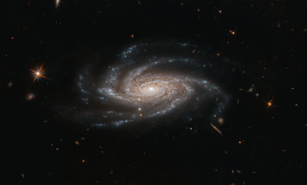 Спиральная галактика NGC 2008 снятая космическим телескопом Хаббл Спиральная галактика NGC 2008 снятая космическим телескопом Хаббл