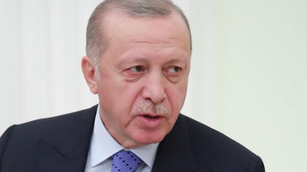 Сенатор: Эрдоган принял план России по выходу из кризиса в Сирии