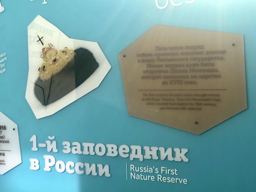 Фрагмент стенда в визит-центре Фрагмент стенда в визит-центре