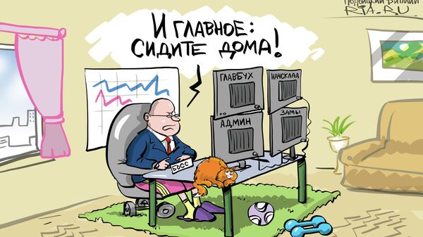 ...сиди дома — не гуляй ...сиди дома — не гуляй