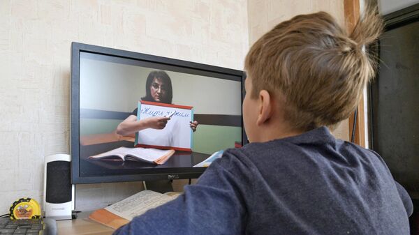 Петербургский школьник во время онлайн-занятия