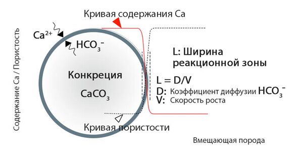 Концептуальная схема образования сферических конкреций. Перекрестная диаграмма диффузии и скорости роста Концептуальная схема образования сферических конкреций. Перекрестная диаграмма диффузии и скорости роста