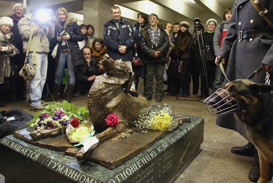 Открытие памятника Сочувствие в метро Менделеевская Открытие памятника Сочувствие в метро Менделеевская