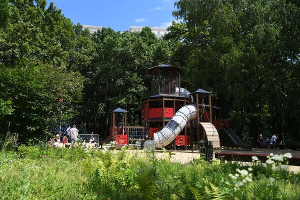 Парк Дубки в Москве Парк Дубки в Москве
