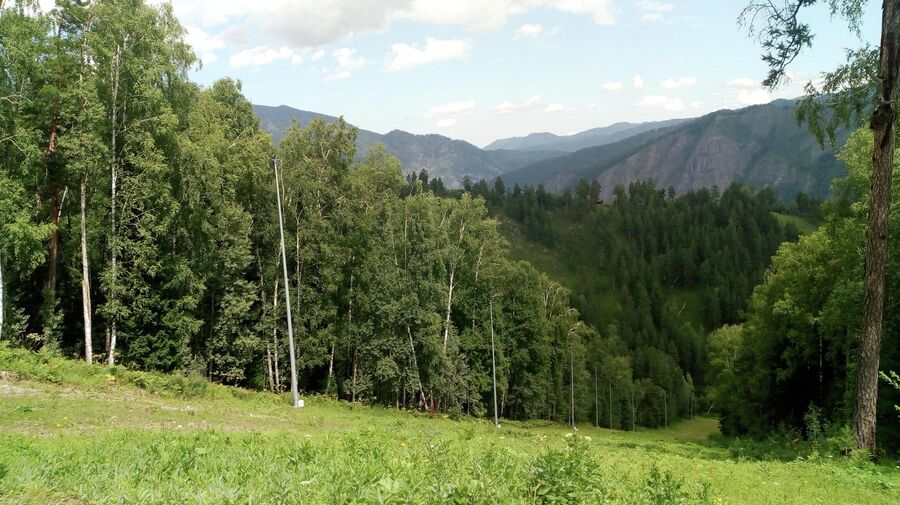 Горнолыжный склон летом, Хакасия Горнолыжный склон летом, Хакасия