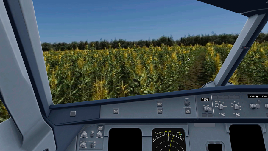 Кадр из проекта Чудо на кукурузном поле: VR-расследование год спустя Кадр из проекта Чудо на кукурузном поле: VR-расследование год спустя