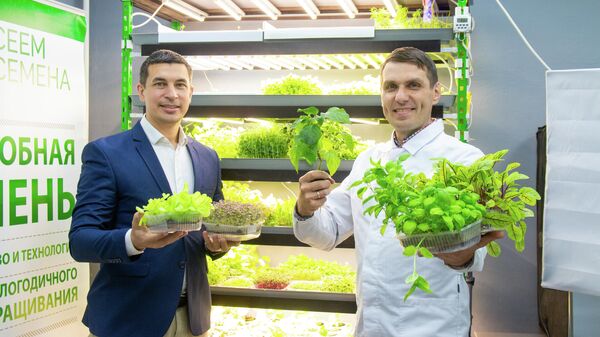 Предприниматели из Кирова Павел Паходин и Антон Бельтюков Предприниматели из Кирова Павел Паходин и Антон Бельтюков