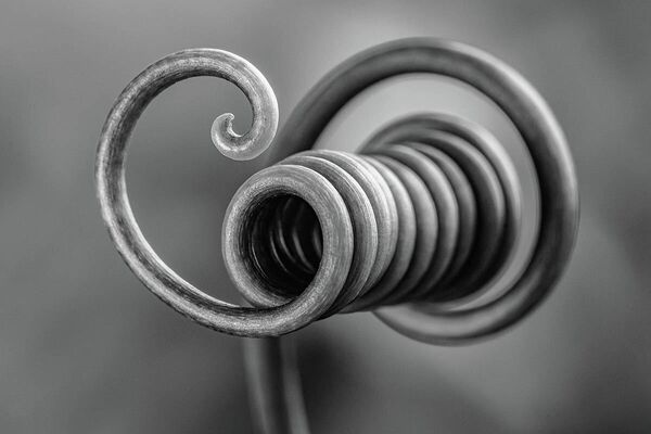 Bruno Militelli. Работа участника конкурса IGPOTY Macro Art 14 Bruno Militelli. Работа участника конкурса IGPOTY Macro Art 14