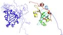 Структура белка Est3 – компонента теломеразы термофильных дрожжей Hansenula polymorpha