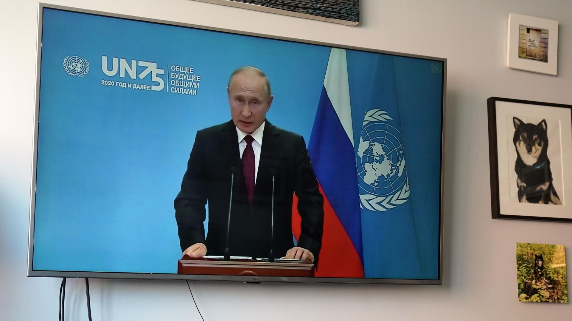 Фрагмент трансляции выступления президента РФ Владимира Путина с видеообращением на 75-й сессии Генеральной ассамблеи ООН Фрагмент трансляции выступления президента РФ Владимира Путина с видеообращением на 75-й сессии Генеральной ассамблеи ООН - РИА Новости, 1920, 24.09.2020