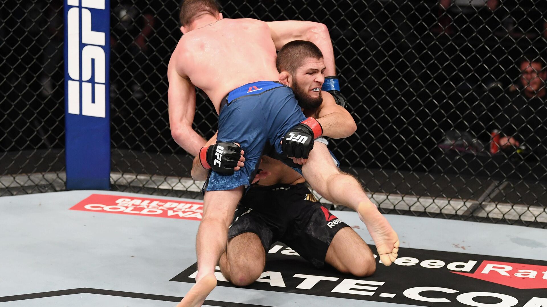 Хабиб Нурмагомедов защитил титул чемпиона UFC в легком весе Хабиб Нурмагомедов защитил титул чемпиона UFC в легком весе - РИА Новости, 1920, 25.10.2020
