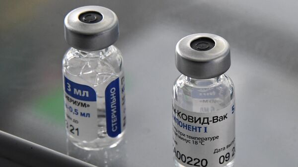 Гинцбург раскрыл принцип действия вакцины 