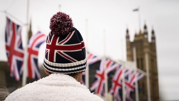 Сторонник Brexit на торжественных мероприятиях, посвященных выходу Великобритании из ЕС (Brexit Party) на площади Парламента в Лондоне Сторонник Brexit на торжественных мероприятиях, посвященных выходу Великобритании из ЕС (Brexit Party) на площади Парламента в Лондоне