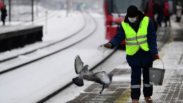 Московские власти увеличили число сотрудников, расчищающих снег у метро