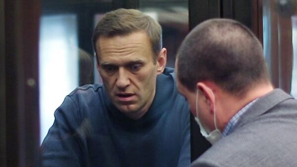 Эксперт рассказал, какие санкции могут ввести из-за Навального