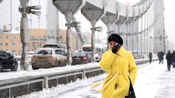 Метель очистила воздух в Москве от загрязняющих веществ