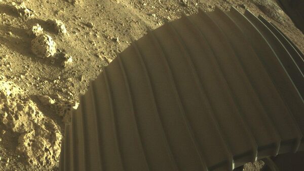 Фотографии, снятые исследовательским аппаратом NASA's Perseverance Mars Rover, который совершил посадку на Марсе в ночь на 19 февраля Фотографии, снятые исследовательским аппаратом NASA's Perseverance Mars Rover, который совершил посадку на Марсе в ночь на 19 февраля