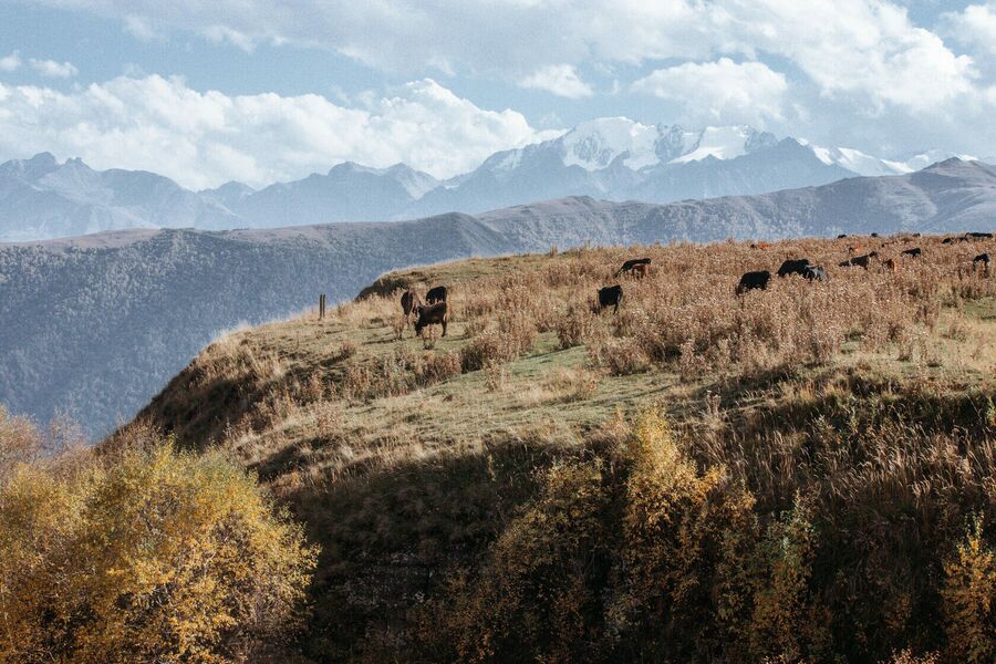 Автомобильная экспедиция на Кавказ