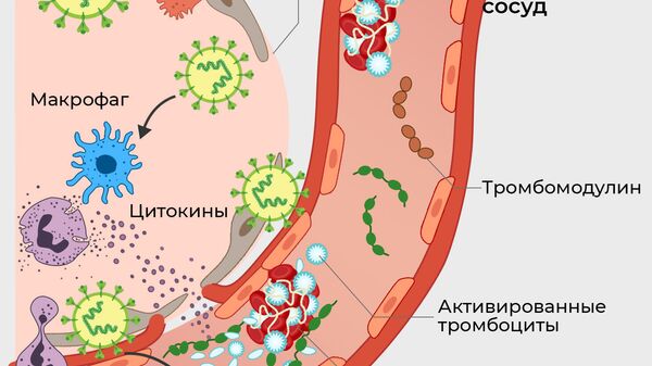 Риск тромбозов от коронавируса выше, чем после вакцинации, заявили ученые