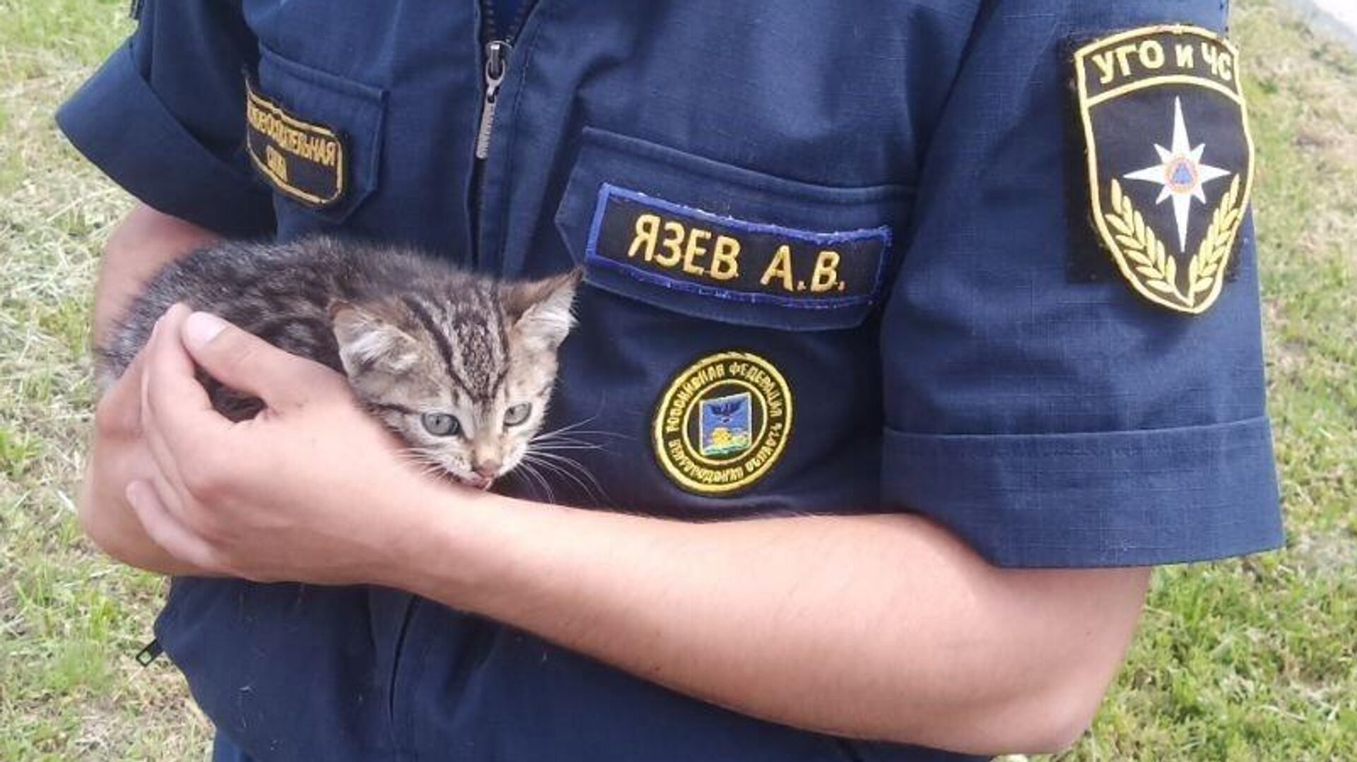 В Белгородской области сотрудник МЧС приютил у себя спасенного котенка