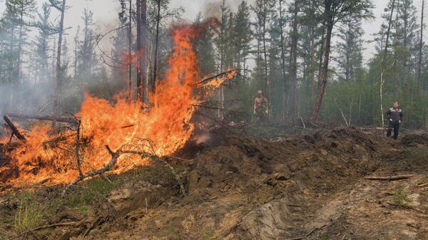 Глава Якутии назвал основную причину пожаров в республике