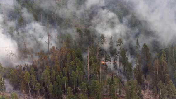На Камчатке потушили природный пожар в Корякском заповеднике