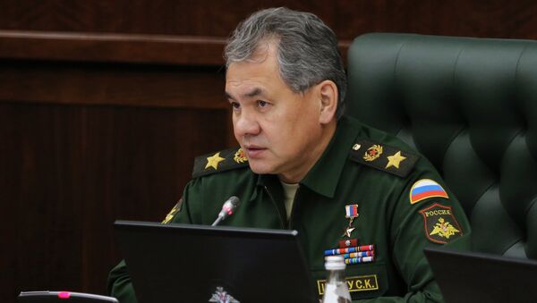 Министр обороны РФ Сергей Шойгу. Архивное фото Министр обороны РФ Сергей Шойгу. Архивное фото
