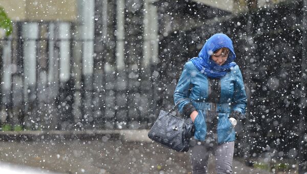 Мокрый снег в Москве Мокрый снег в Москве