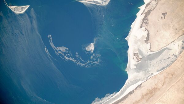 Вид из космоса на Аральское море. Архивное фото Вид из космоса на Аральское море. Архивное фото