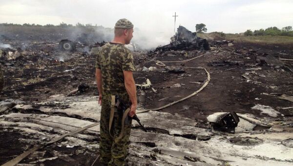 Боец народного ополчения на месте крушения Boeing 777 компании Malaysia Airlines Боец народного ополчения на месте крушения Boeing 777 компании Malaysia Airlines