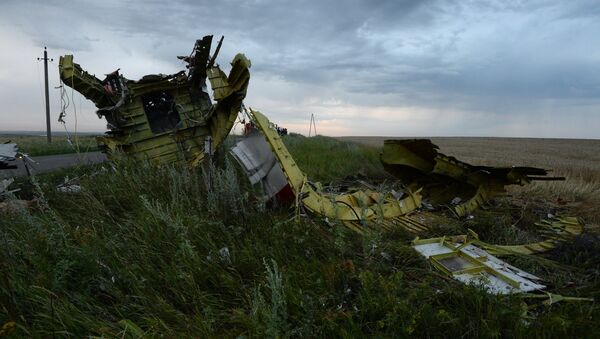 Крушение малайзийского Boeing на Украине. Архивное фото Крушение малайзийского Boeing на Украине. Архивное фото