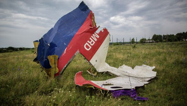 На месте крушения малайзийского лайнера Boeing 777 в районе Шахтерска. Архивное фото На месте крушения малайзийского лайнера Boeing 777 в районе Шахтерска. Архивное фото