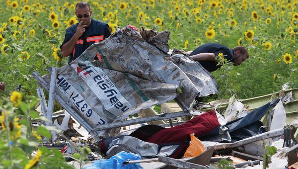 На месте крушения малайзийского Boeing 777. Архивное фото На месте крушения малайзийского Boeing 777. Архивное фото