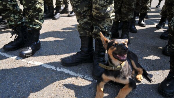 Украинские военные. Архивное фото Украинские военные. Архивное фото