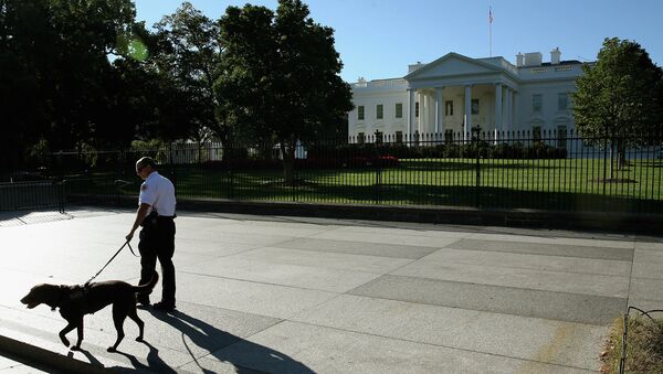 Белый дом США в Вашингтоне Белый дом США в Вашингтоне