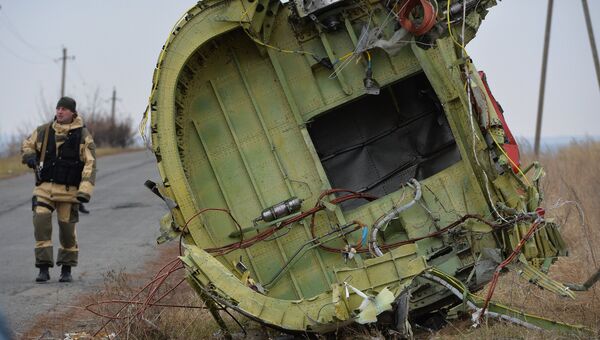 На месте крушения малайзийского Boeing. Архивное фото На месте крушения малайзийского Boeing. Архивное фото