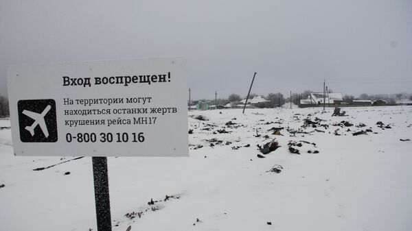 Место крушения малайзийского Boeing 777. Архивное фото Место крушения малайзийского Boeing 777. Архивное фото