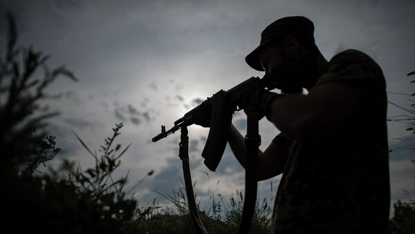 Боец украинского добровольческого батальона. Архивное фото Боец украинского добровольческого батальона. Архивное фото