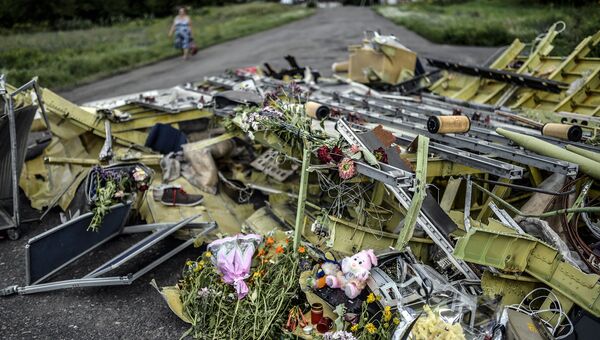 На месте крушения малайзийского самолета Boeing, выполнявшего рейс MH17 Амстердам — Куала-Лумпур. Архивное фот На месте крушения малайзийского самолета Boeing, выполнявшего рейс MH17 Амстердам — Куала-Лумпур. Архивное фот
