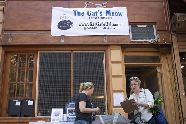 Кафе The Cat's Meow в Бруклине Кафе The Cat's Meow в Бруклине