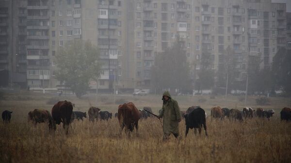 Ситуация в Енакиево. Архивное фото Ситуация в Енакиево. Архивное фото
