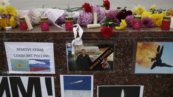 Плакаты, осуждающие атаку ВВС Турции на российский Су-24. Архивное фото Плакаты, осуждающие атаку ВВС Турции на российский Су-24. Архивное фото