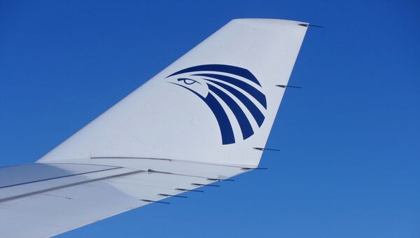 Логотип компании EgyptAir на крыле самолета. Архивное фото Логотип компании EgyptAir на крыле самолета. Архивное фото