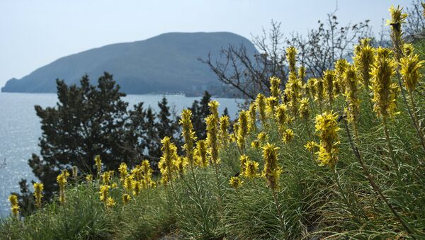 Весна в Крыму Весна в Крыму