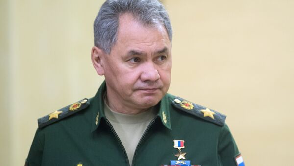 Министр обороны РФ Сергей Шойгу. Архивное фото Министр обороны РФ Сергей Шойгу. Архивное фото