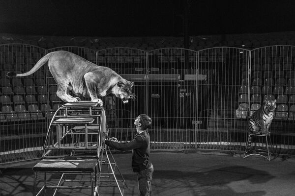 Фотоработы вошедшие в шорт-лист конкурса имени Андрея Стенина Фотоработы вошедшие в шорт-лист конкурса имени Андрея Стенина