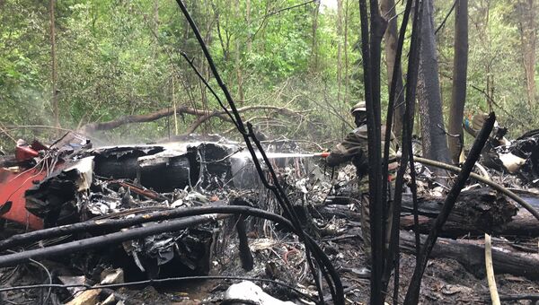 На месте крушения самолета Су-27 в Подмосковье На месте крушения самолета Су-27 в Подмосковье