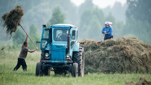 Жители деревни Баженово Омской области во время заготовки сена Жители деревни Баженово Омской области во время заготовки сена