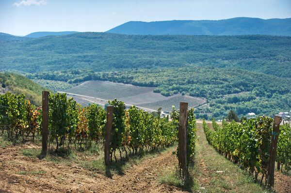 Винодельческое хозяйство UPPA Winery в Крыму Винодельческое хозяйство UPPA Winery в Крыму